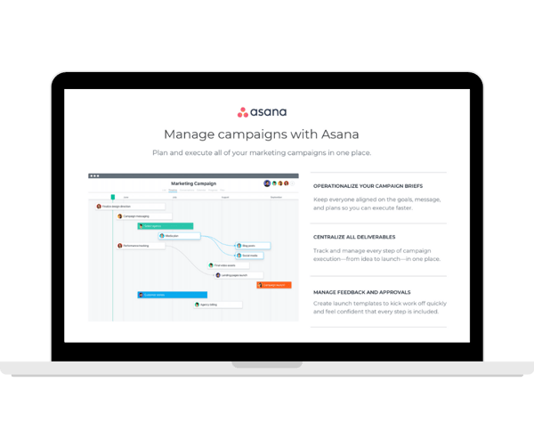 Asana - Marketing Camapgins -  Transparent - Laptop Landscape