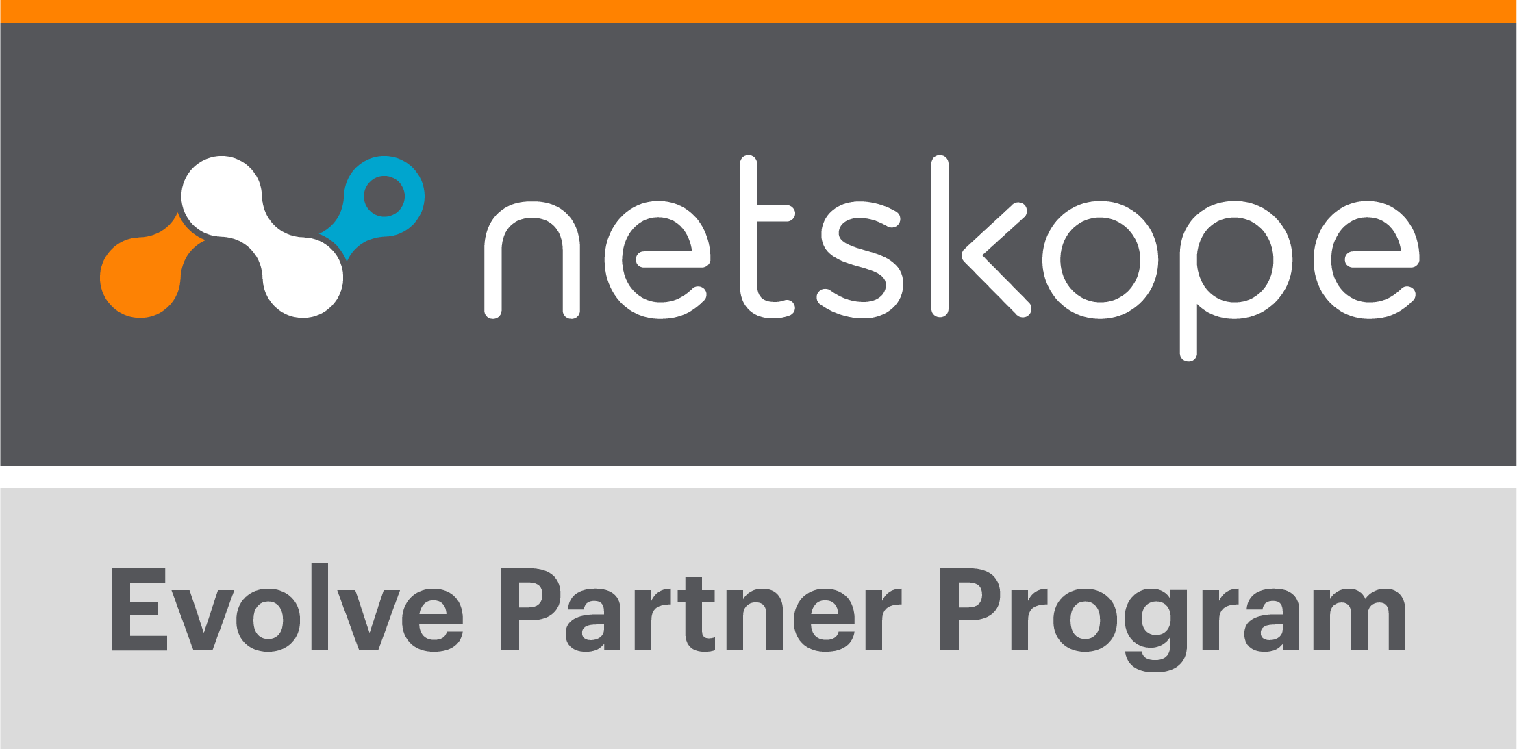 Logo-Netskope Evolve Partner Program-V1-rgb