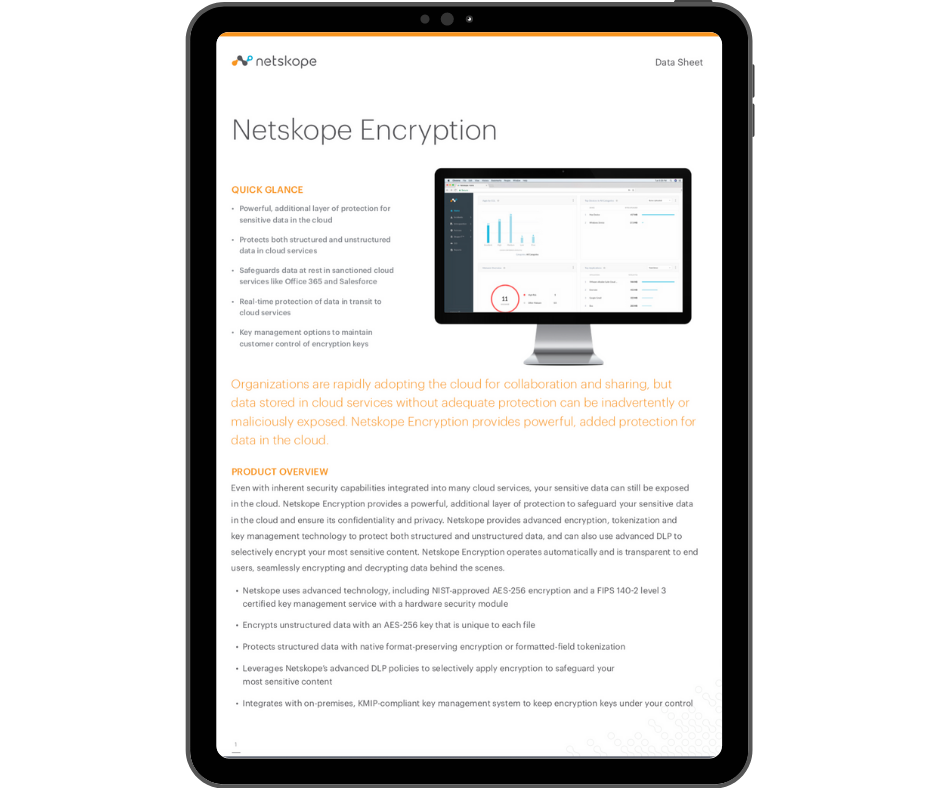 Netskope Encryption - Transparent - Ipad Portrait