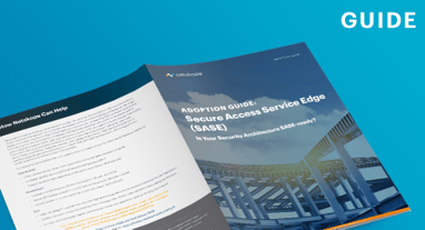 SASE Adoption Guide