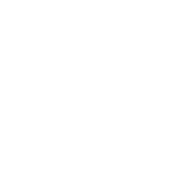Big data white.png