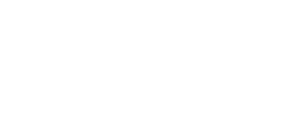 Solution Provider - Wide - Alt