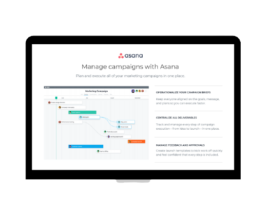 Asana_-_Manage_Campaigns_-_Laptop_Landscape-removebg-preview