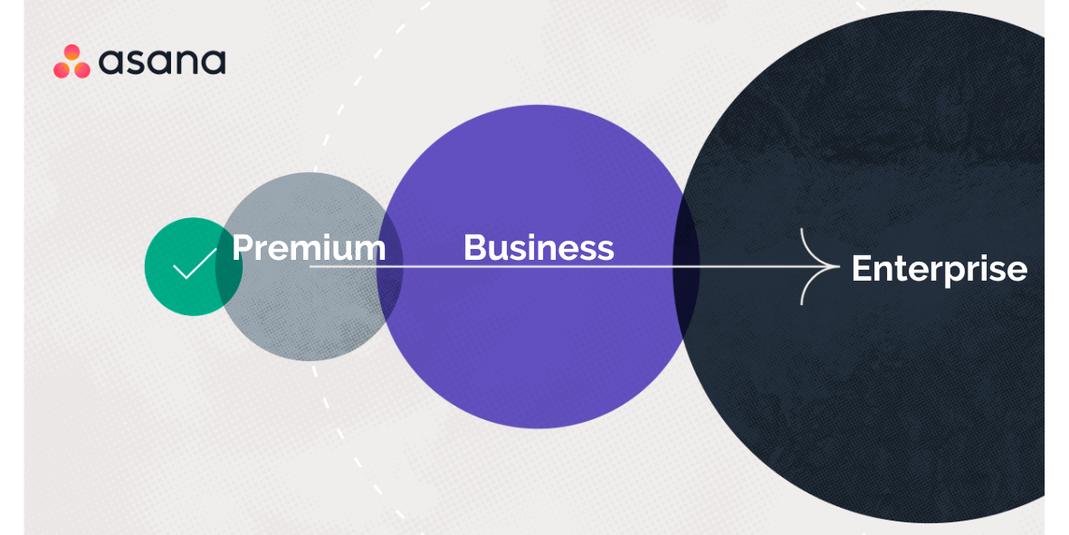 Asana price tiers